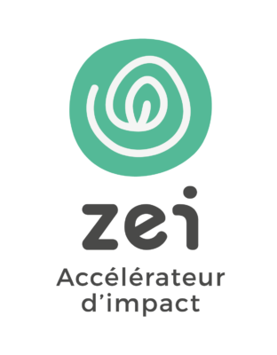 Logo ZEI 2020 04