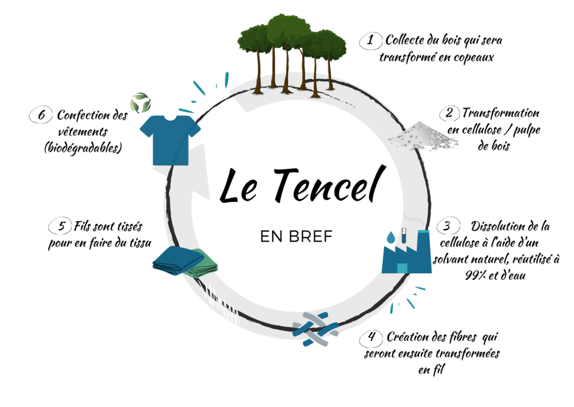 Infographie cycle Tencel